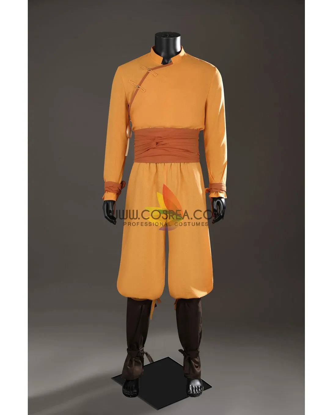 Aang Avatar The Last Airbender Custom Costume