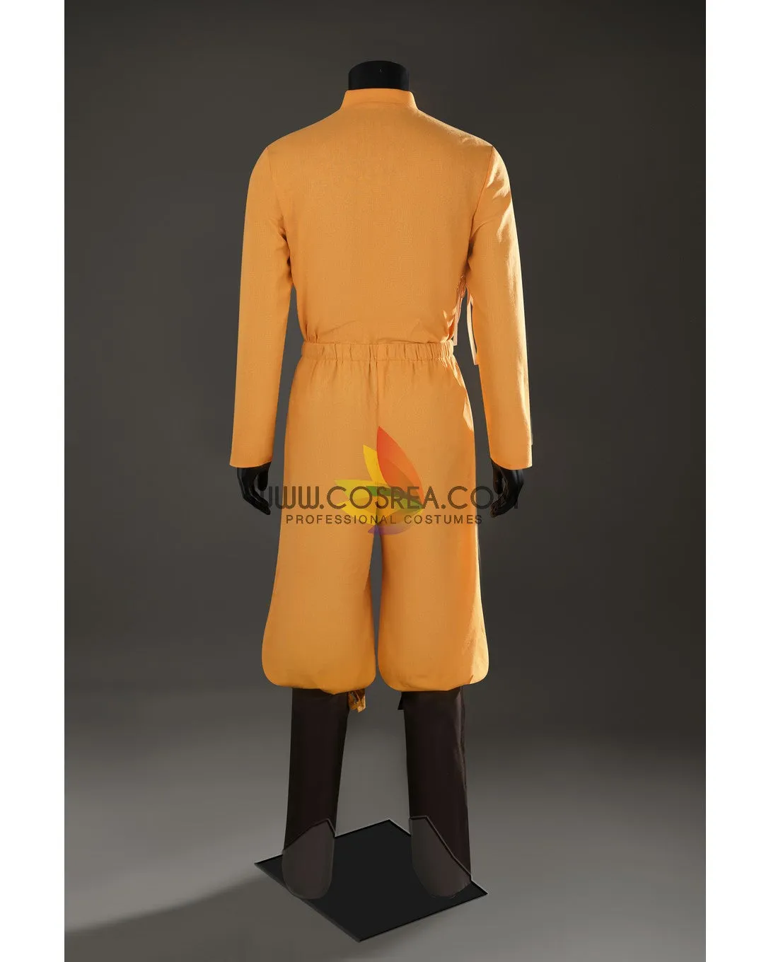 Aang Avatar The Last Airbender Custom Costume