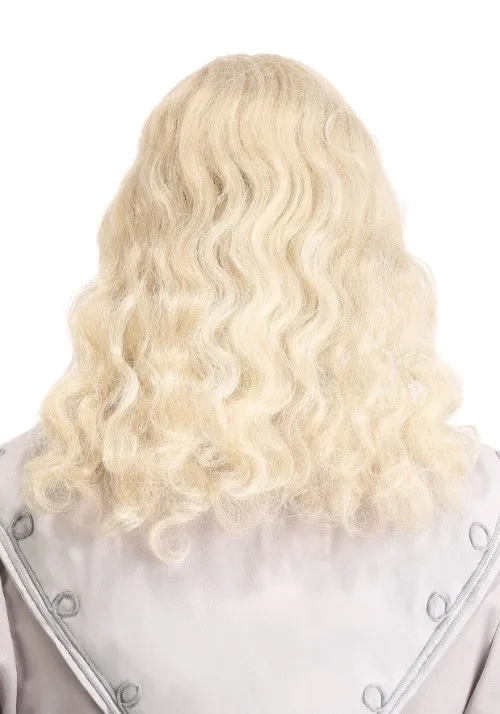 Headmaster Wizard Wig and Beard for Adults