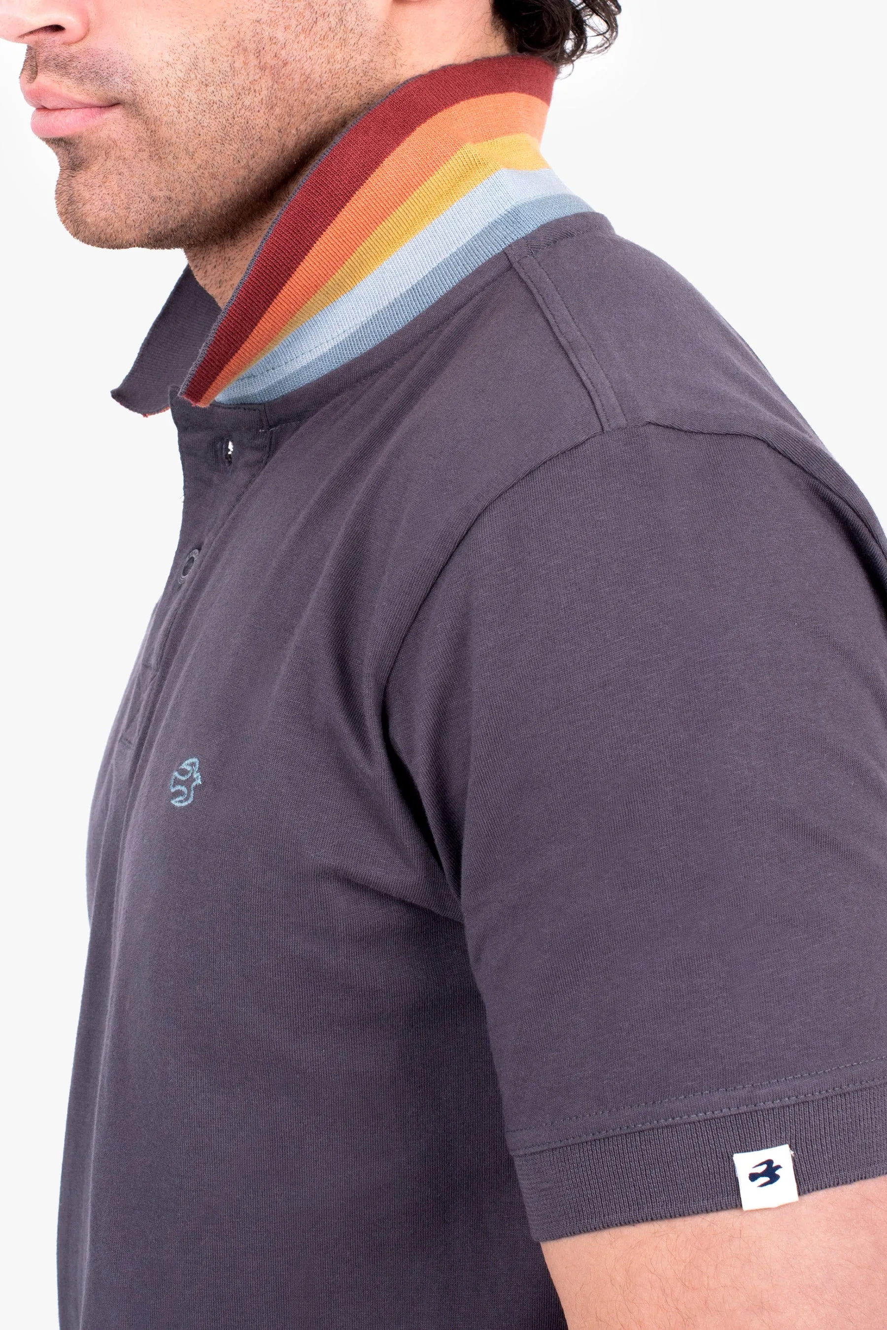 Rainbow Polo