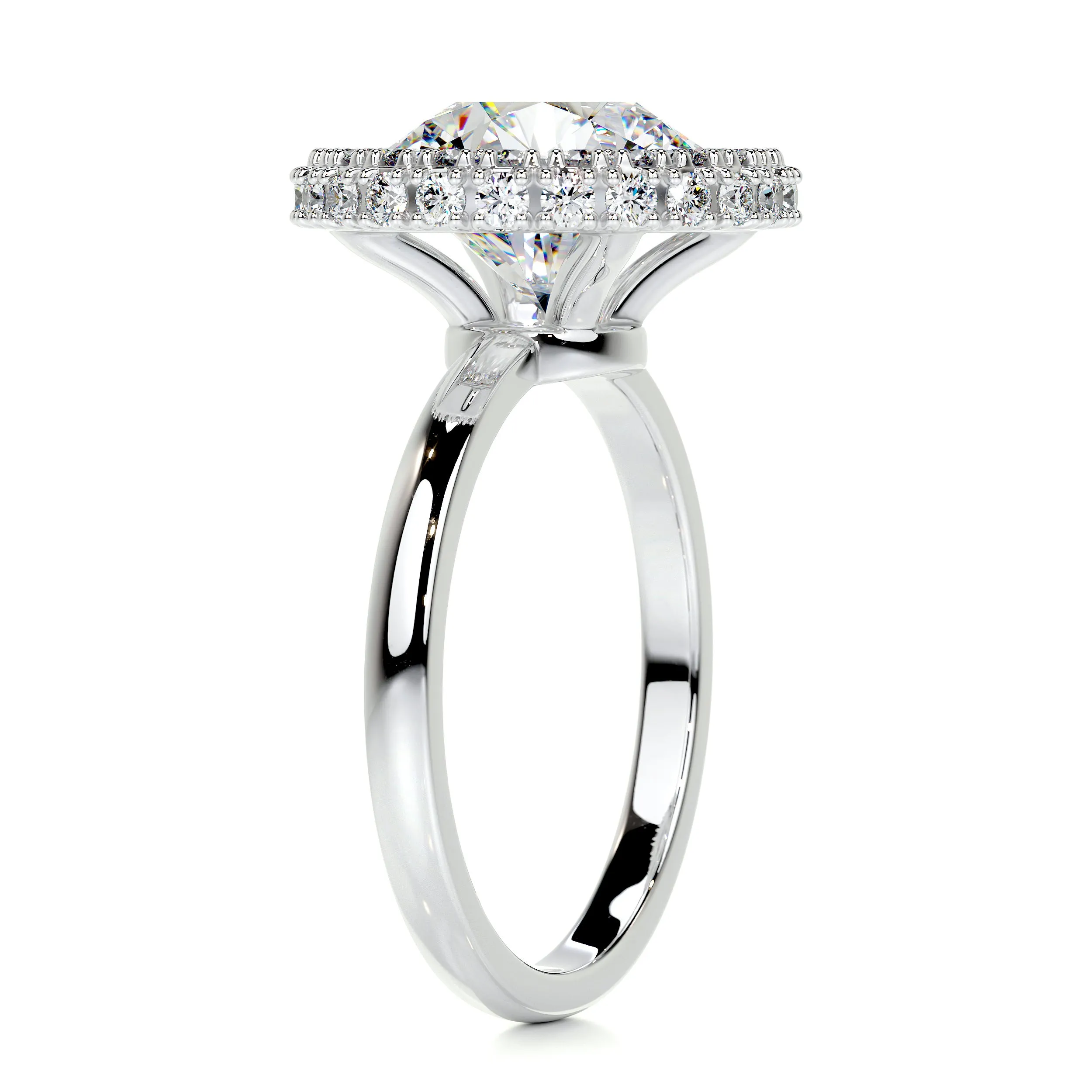 Rosalie Moissanite & Diamonds Ring -Platinum