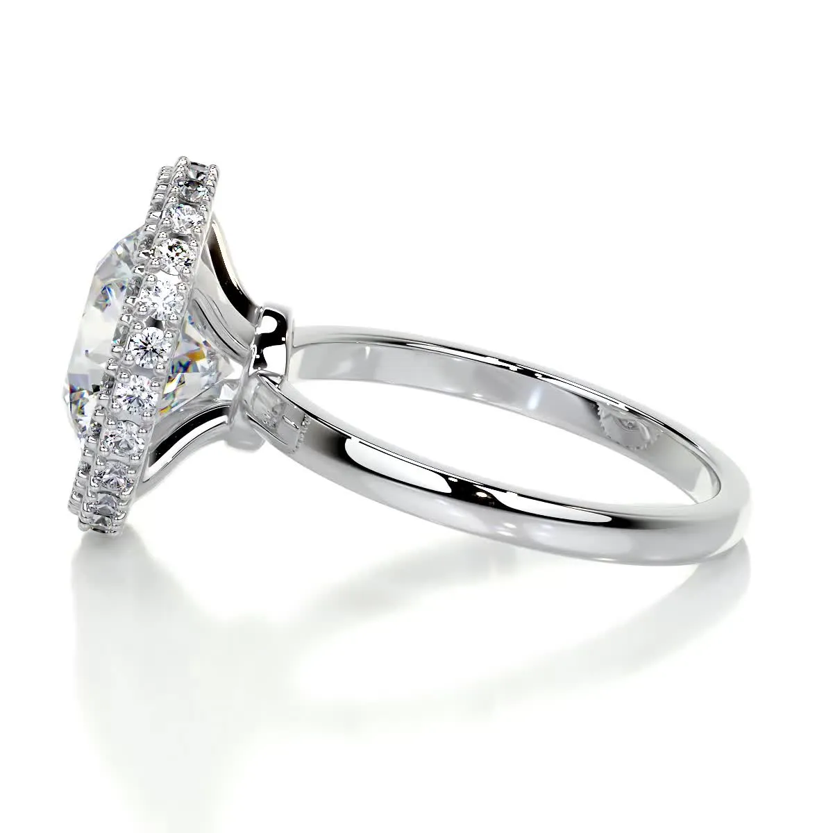 Rosalie Moissanite & Diamonds Ring -Platinum